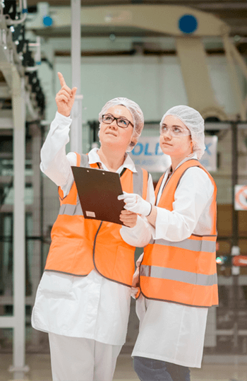 Employees in MDLZ plant