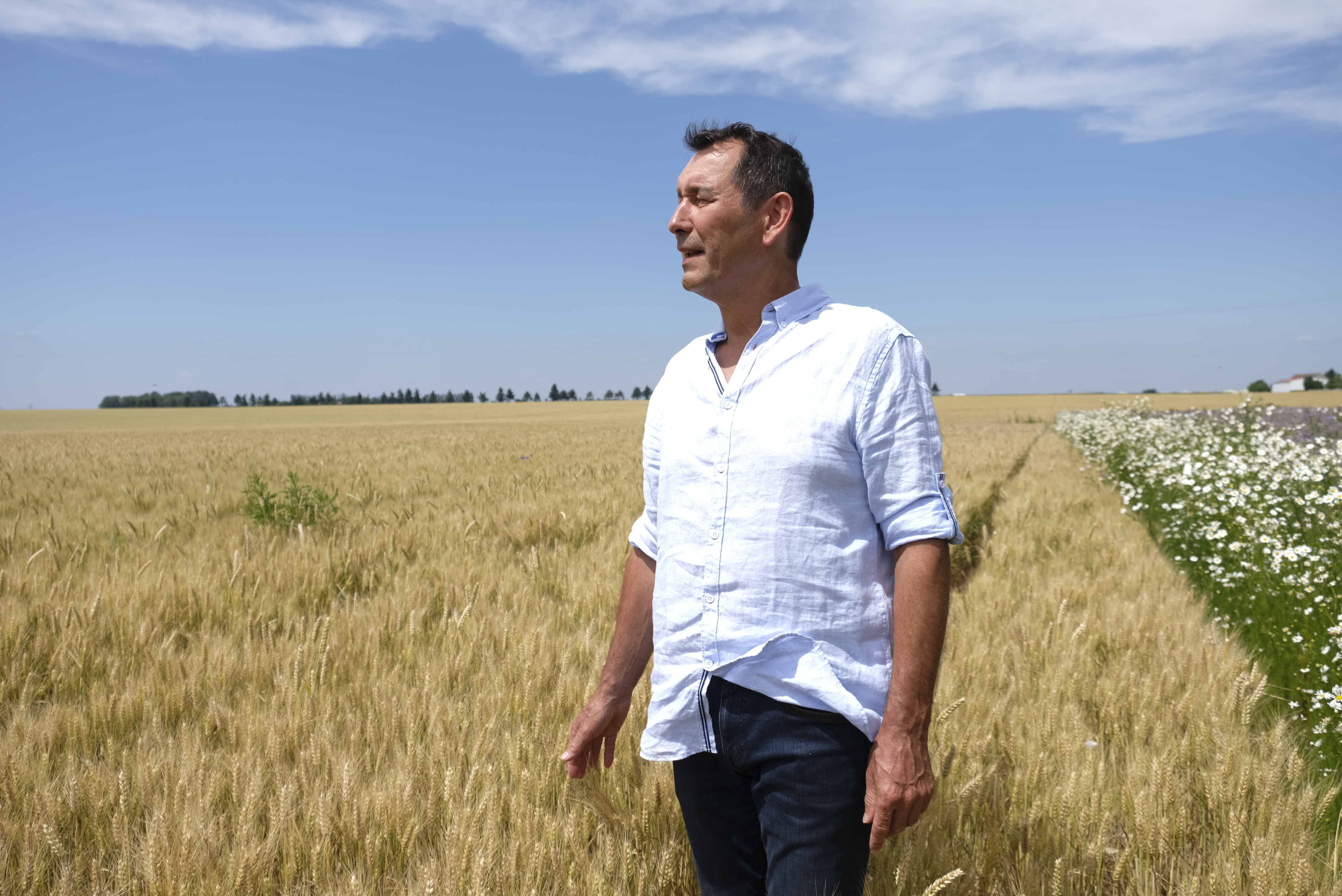 man in wheat field