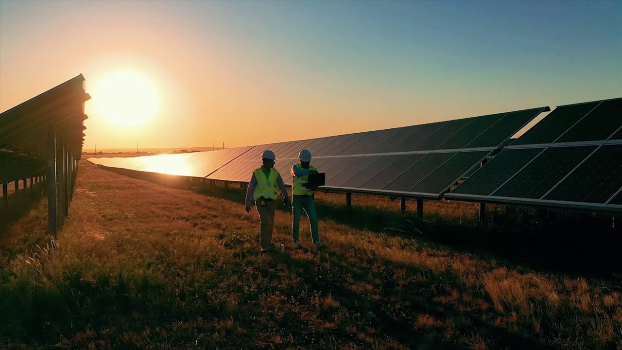 men walking in solar panel field