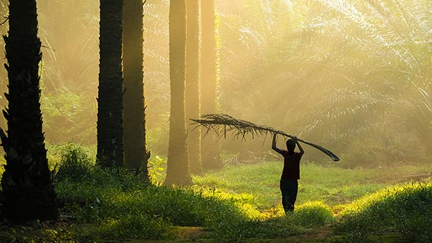 Man in forest