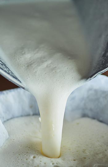 Up close shot of milk being poured into a filter.
